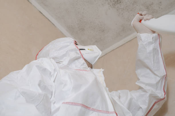 Best Water Damage Restoration  in Willacoochee, GA