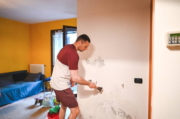 Best Home Mold Removal  in Willacoochee, GA